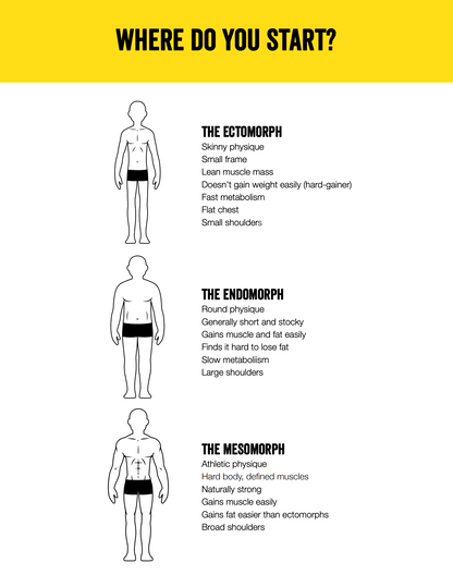 Endomorph Weight Training Introduction eBook (Digital Download)