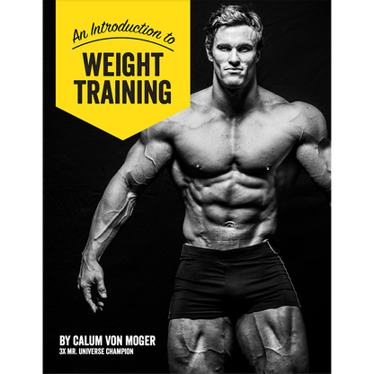 Endomorph Weight Training Introduction eBook (Digital Download)